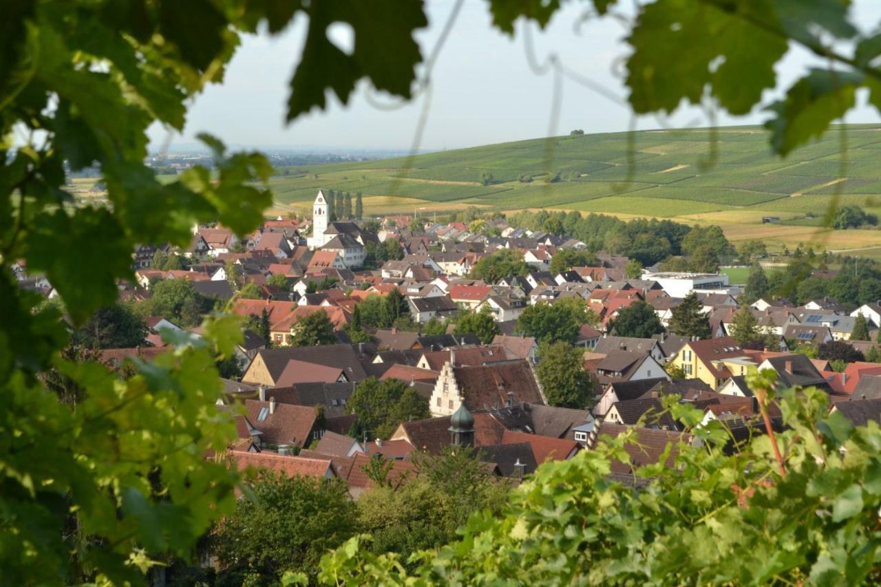 Ferienwohnung Schneckental Pfaffenweiler Exterior foto
